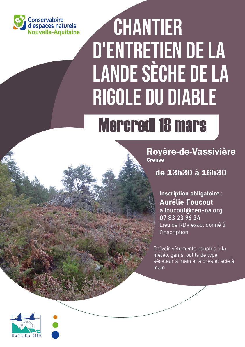 Chantier d&rsquo;entretien d&rsquo;une lande sèche  Royère-de-Vassivière