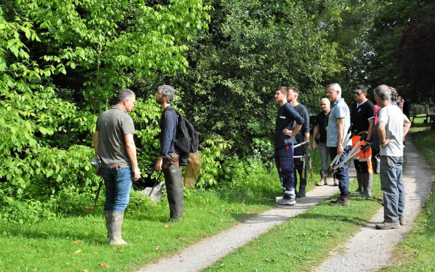 Chantier participatif de régulation de l&rsquo;érable  Labastide-Villefranche