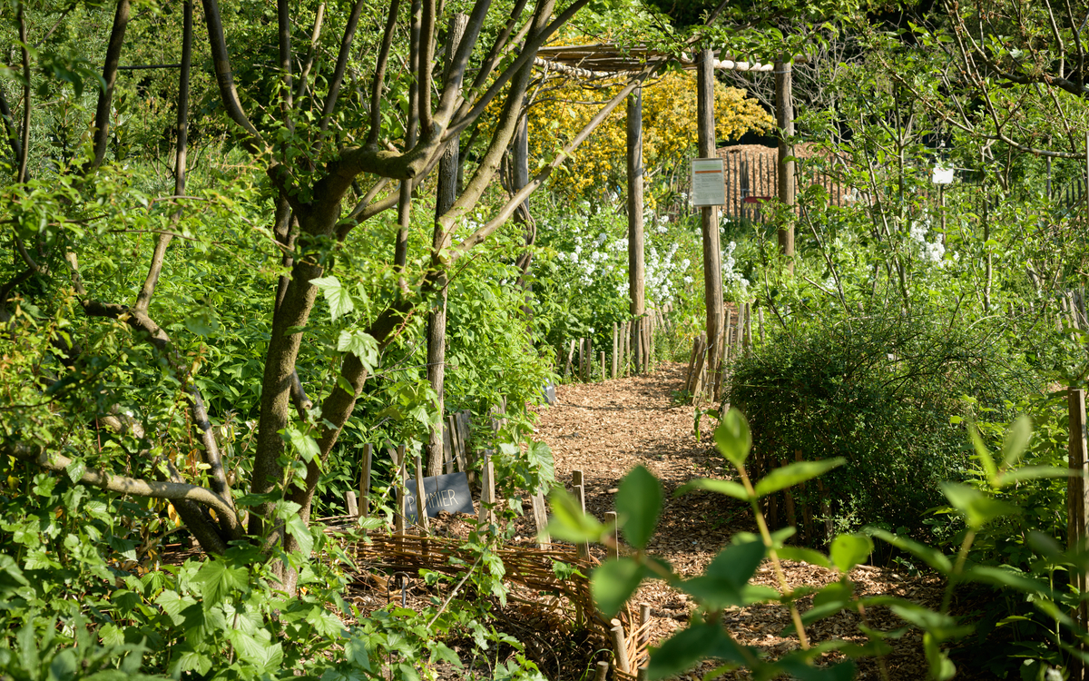 Chantier permaculture Ferme de Paris Paris