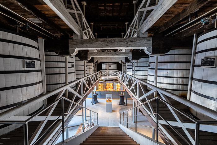 Château de Cognac, Château de Cognac, Cognac