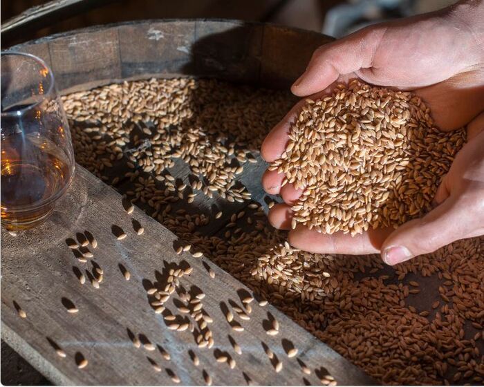 Château du Barroux, Château du Barroux, Le Barroux