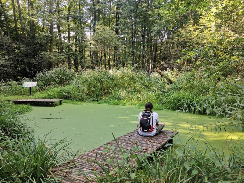 Chemin du Patrimoine Ca coule de source Dieffenbach-au-Val Bas-Rhin