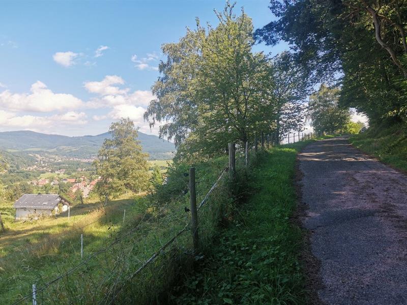 Chemin du Patrimoine Une forêt en pays welche Fouchy Bas-Rhin