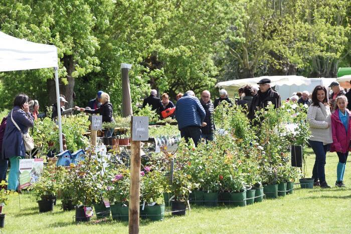Chloroph&rsquo;îles, la passion des plantes Station Nuage (Ile Forget) Saint-Sébastien-sur-Loire