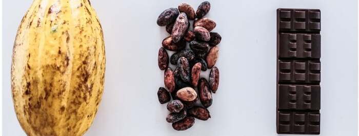 Chocolats d’Amérique Latine Maison de l'Amérique Latine et des Caraïbes à Hôtel de Ragueneau