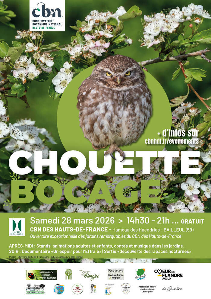 Chouette bocage, CNB des Hauts-de-France, Bailleul
