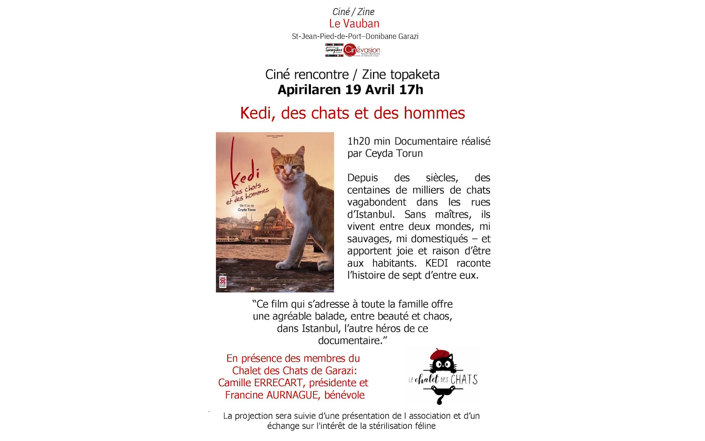 Ciné rencontre Zine topaketa Kedi, des chats et des hommes Cinéma Le Vauban Saint-Jean-Pied-de-Port
