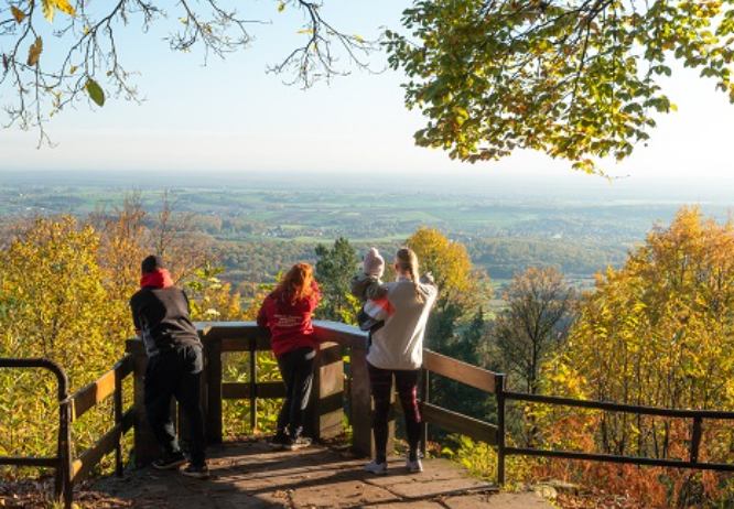 Circuit à vélo sur les hauteurs de Soultz-sous-Forêts Soultz-sous-Forêts Bas-Rhin