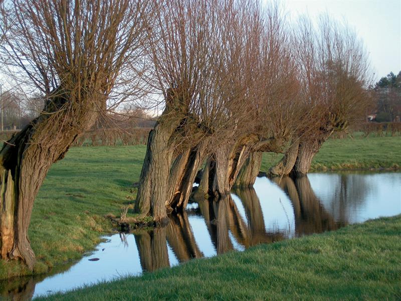 Circuit de la Mossig Kirchheim Bas-Rhin