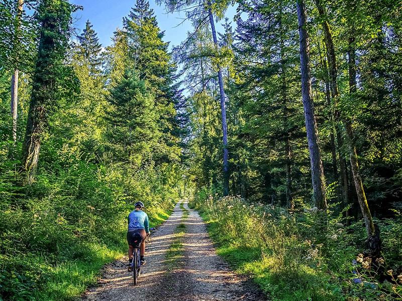 Circuit Gravel 55 km les Contreforts du Jura Alsacien Ferrette Haut-Rhin