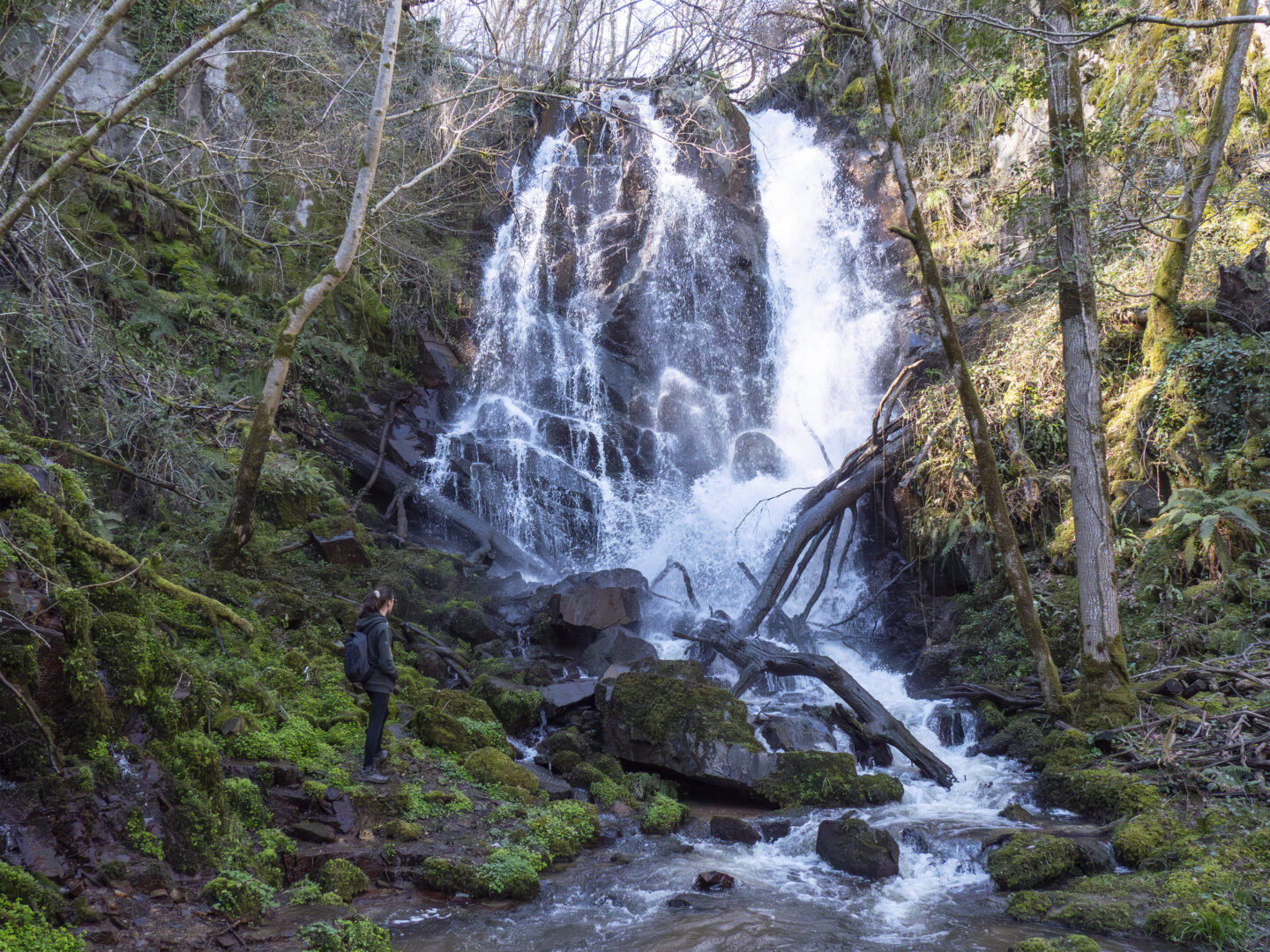 Circuit n°2 Chemins des 3 Corrèzes Saint-Mexant Corrèze