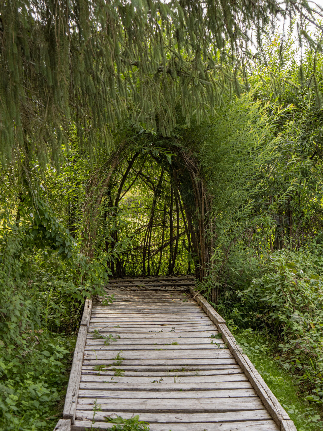Circuit n°3 Chemins des 3 Corrèzes Saint-Clément Corrèze