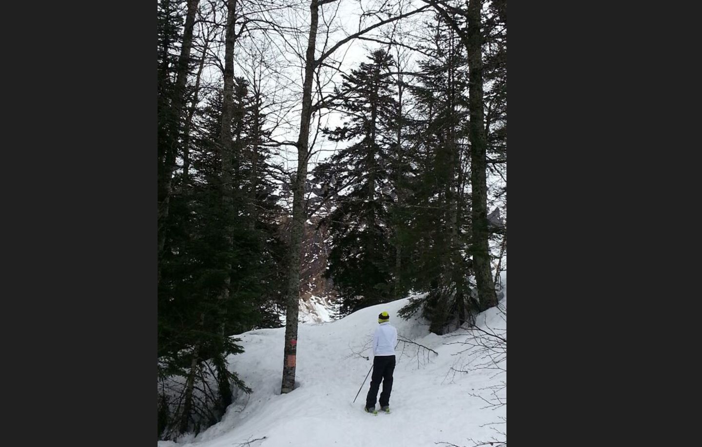 Circuit raquette Le Bois des Crétets Eaux-Bonnes Pyrénées-Atlantiques