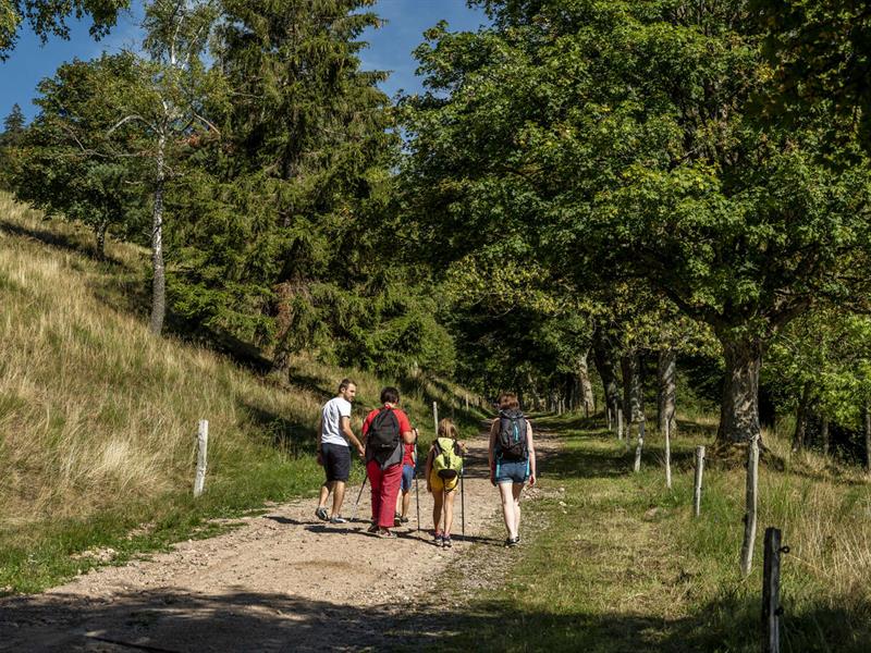 Circuit raquettes B02 Autour du Hohbuhl depuis le col de Bruchberg circuit long Grendelbruch Bas-Rhin