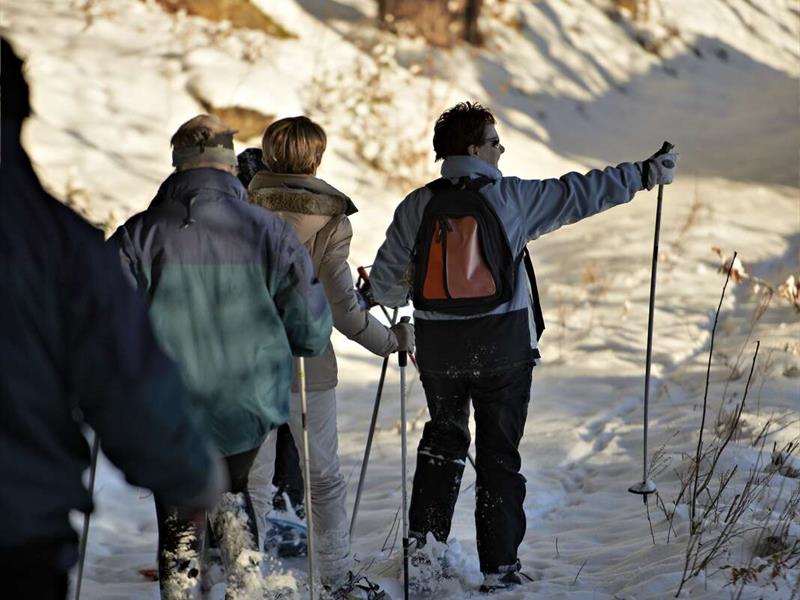 Circuit raquettes D01 Autour du Donon Grandfontaine Bas-Rhin