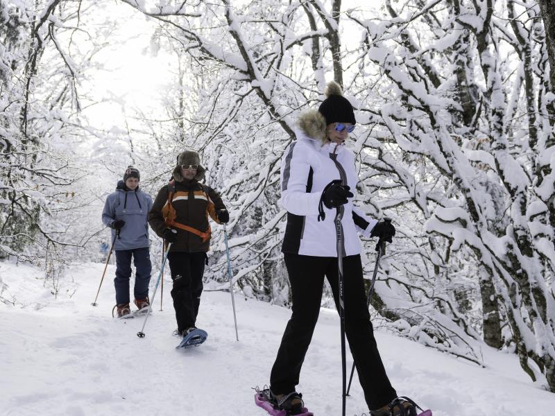 Circuit raquettes de découverte R1 Linthal Haut-Rhin