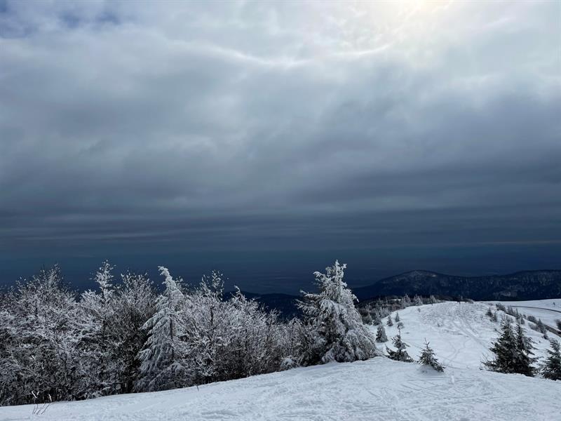 Circuit raquettes du Marksteinkopf R2 Linthal Haut-Rhin