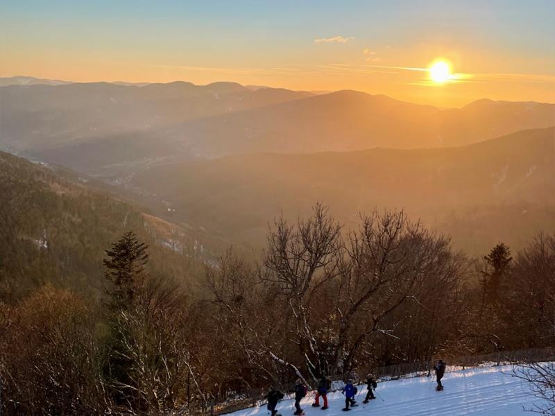 Circuit raquettes du Trehkopf R6 Linthal Haut-Rhin