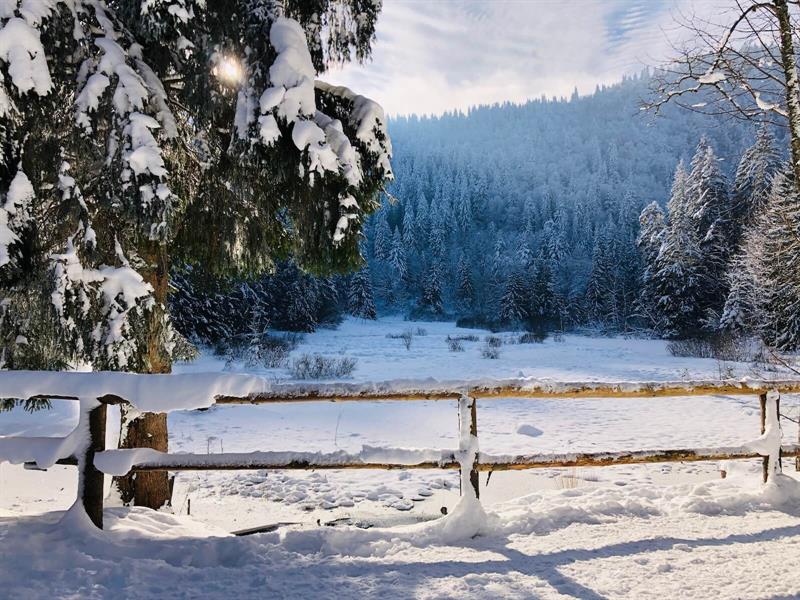 Circuit raquettes L&rsquo;Etang du Devin Orbey Haut-Rhin
