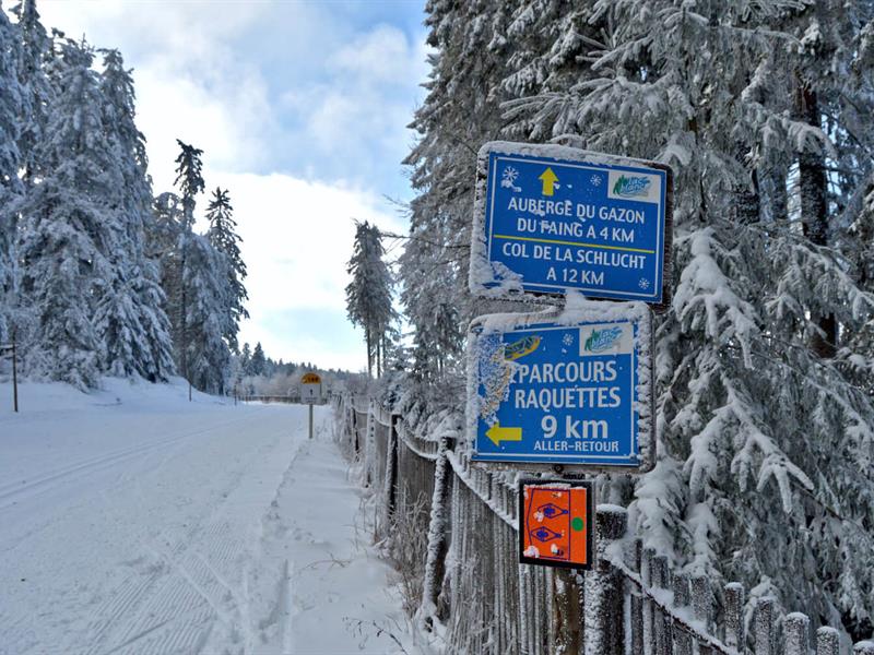 Circuit raquettes Route des Crêtes Orbey Haut-Rhin