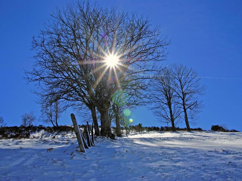 Circuit ski de fond n°6 le tour du Rossberg (court) Sainte-Marie-aux-Mines Haut-Rhin