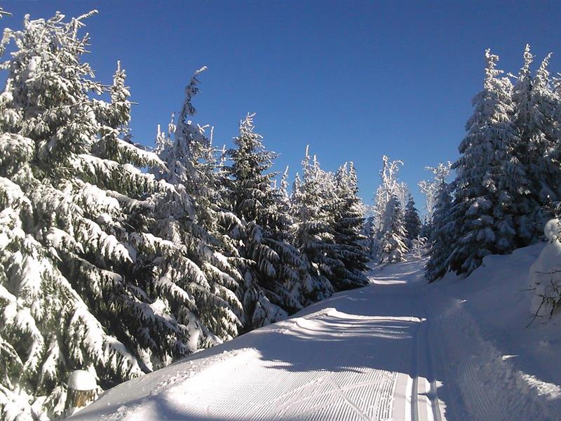Circuit ski de fond n°6 le tour du Rossberg (long) Sainte-Marie-aux-Mines Haut-Rhin