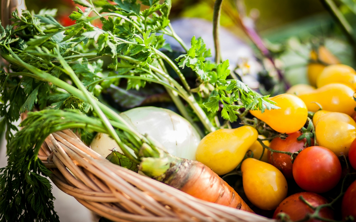 Circuits courts et résilience alimentaire Bibliothèque publique d’information Paris