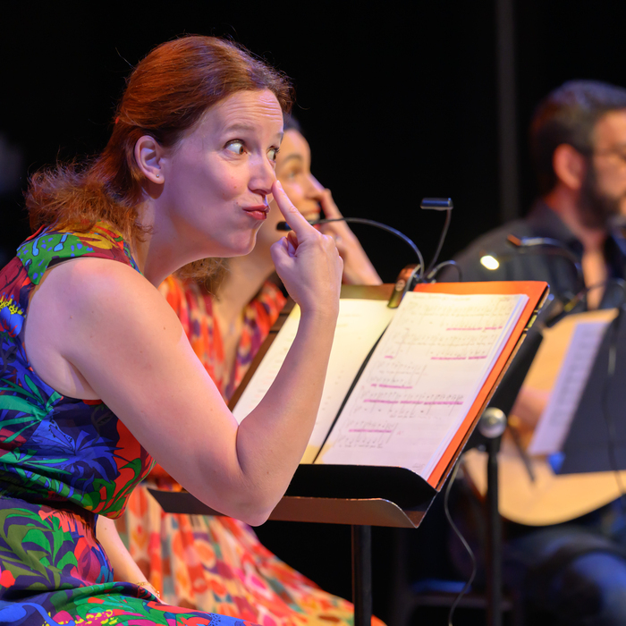 Cocon lyrique Maison d'éducation de la Légion d'honneur Saint-Denis