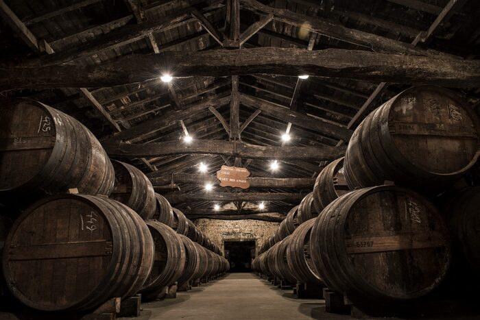 Cognac Frapin, Cognac Frapin, Segonzac