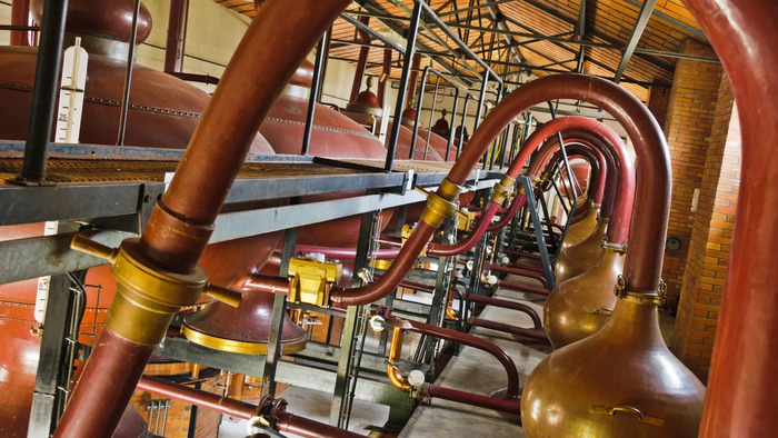 Cognac Tiffon, Cognac Tiffon Braastad, Mainxe-Gondeville