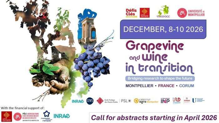 Colloque International Vinid’Occ, Corum, Place Charles de Gaulle, Montpellier (34), Montpellier