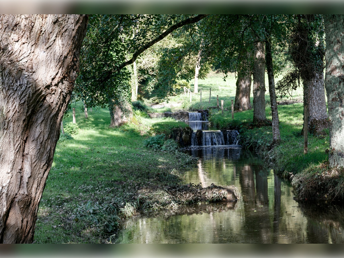 Colloque Quelles sciences de la Terre à l&rsquo;anthropocène ?  Cerisy-la-Salle