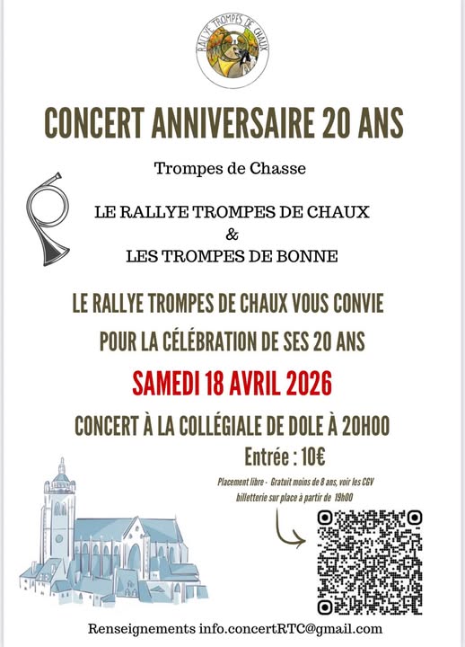 Concert des 20 ans Place Nationale Dole