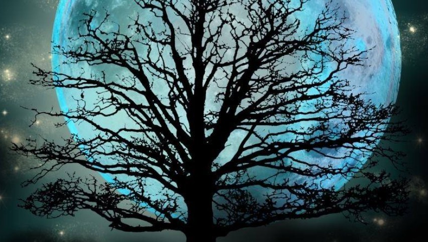 Concert du duo Hang Métiss Église Sainte Marie-Madeleine Couzeix