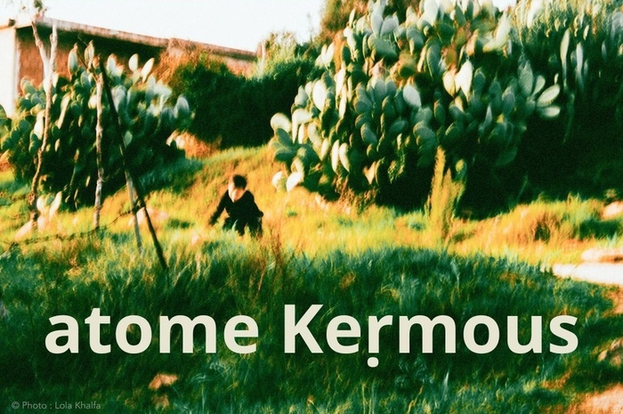 Concert du groupe Atome Kermous Préau des Accoules