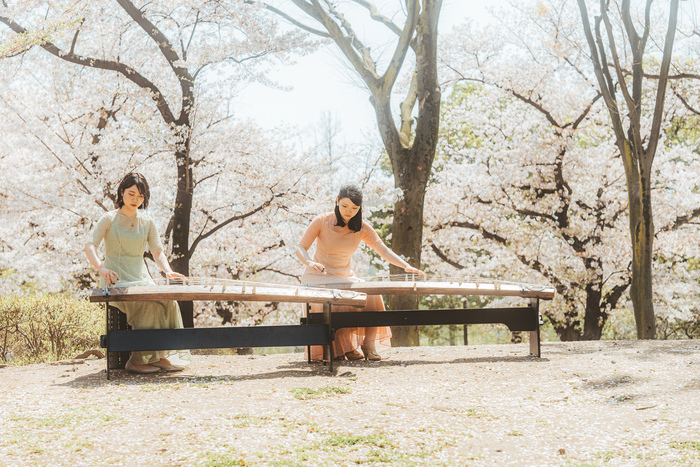Concert : L’harmonie culturelle au son du koto, Musée des Arts Précieux Paul-Dupuy, Toulouse