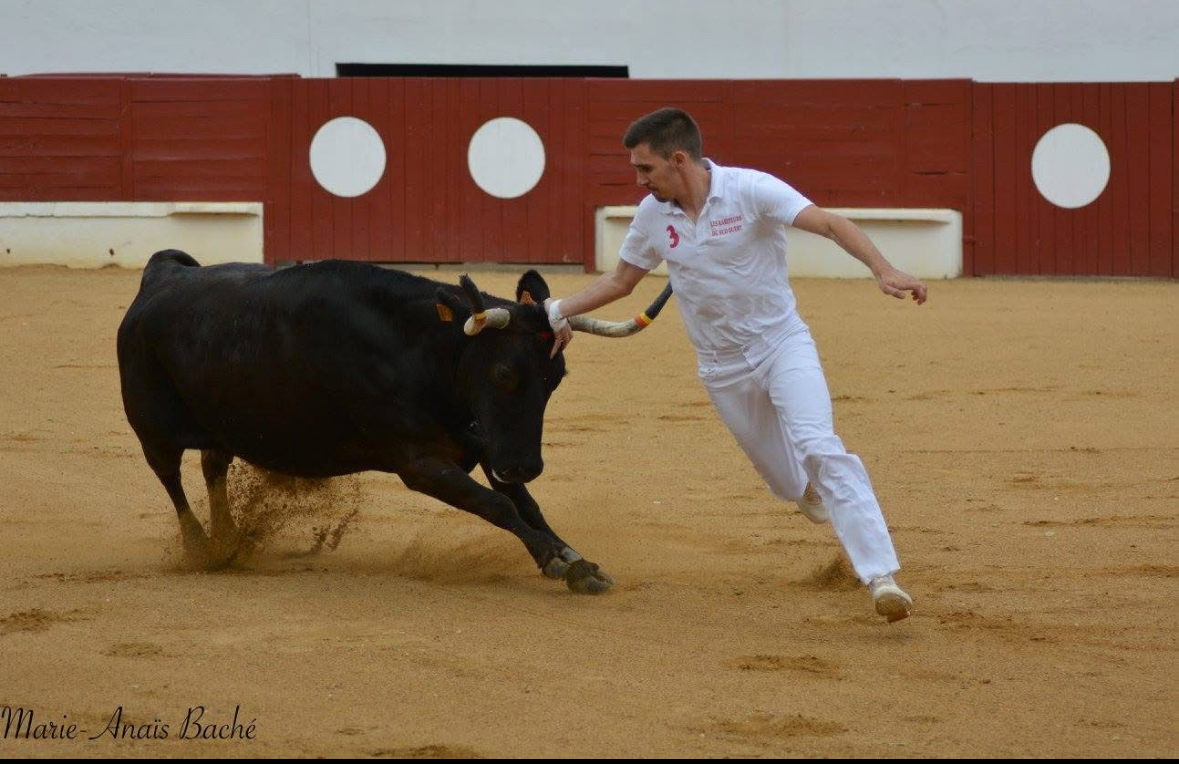 Concours de cocarde Arènes de Mimizan plage Mimizan 2026-07-16