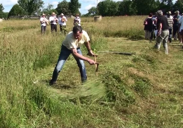 Concours de Fauchage à la faux à Nigresserre  Thérondels
