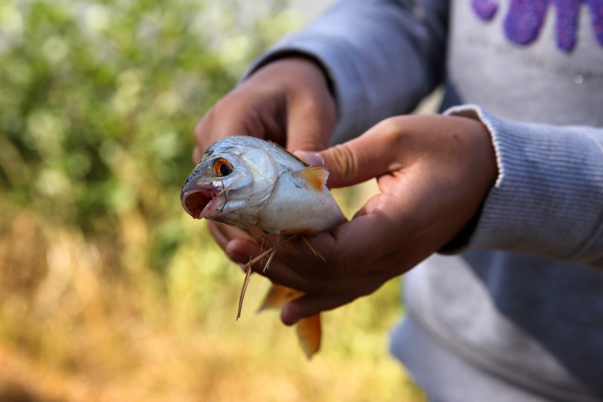 Concours de Pêche à Lacapelle-Marival Lacapelle-Marival