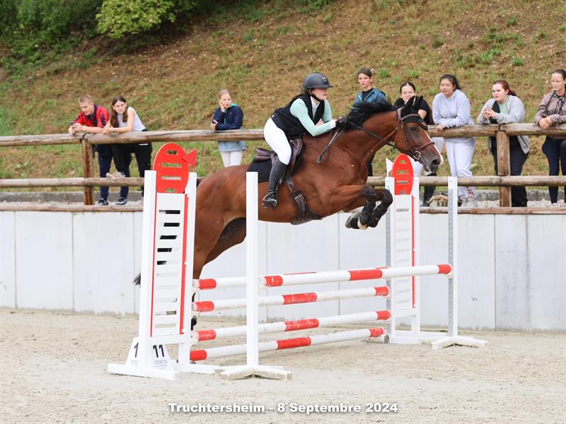 Concours de saut d&rsquo;obstacles  Truchtersheim