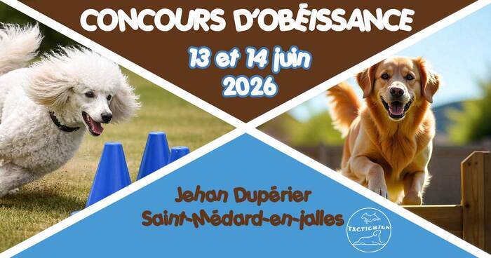 Concours d'obéissance Tactichien Saint-Médard-en-Jalles