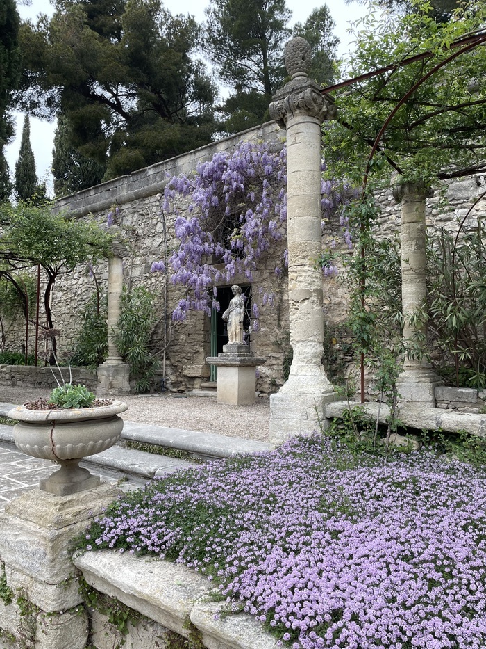Conférence balade "De la fleur botanique à l'art" Jardin de l’ancienne abbaye Saint-André Villeneuve-lès-Avignon