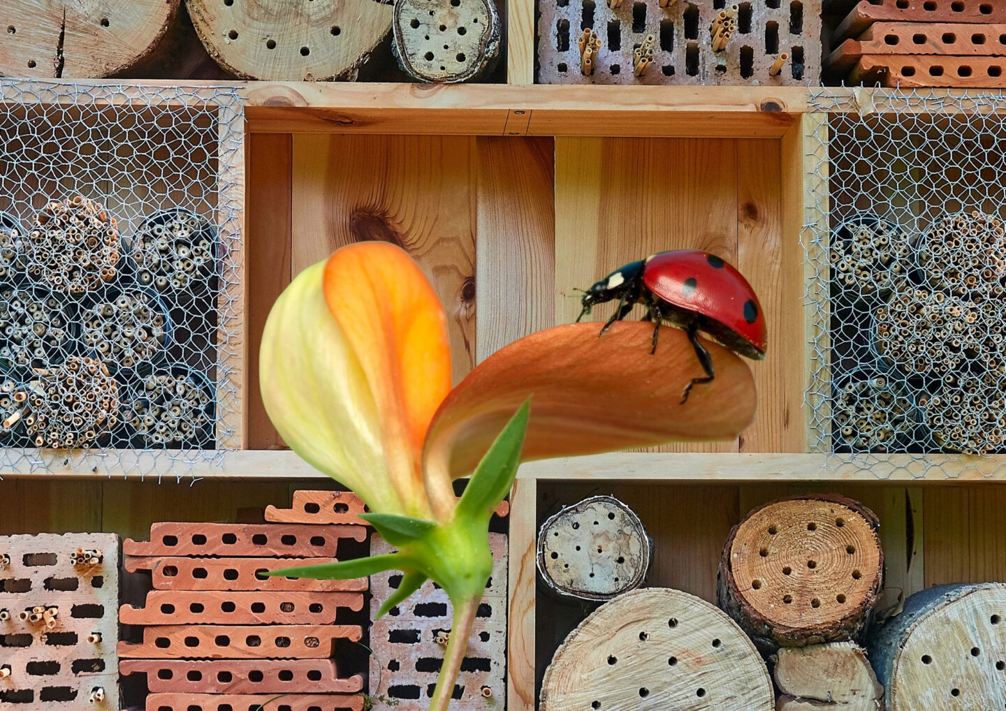 Conférence et atelier Insectes auxiliaires & permaculture 297 avenue de l'Adour Anglet 2026-05-13