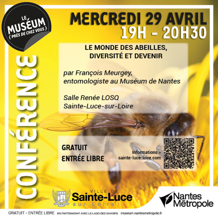 Conférence : Le monde des abeilles diversité et devenir, Salle Renée-Losq, Sainte-Luce-sur-Loire