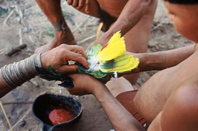 Conférence L’oiseau bariolé enquête en forêt Amazonienne 28 Place du Marcadieu Nay 2026-05-21