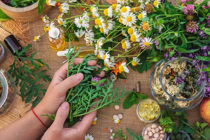 Conférence sur la naturopathie, Comptoir Saint-Hilaire, Saint-Hilaire-de-Brethmas