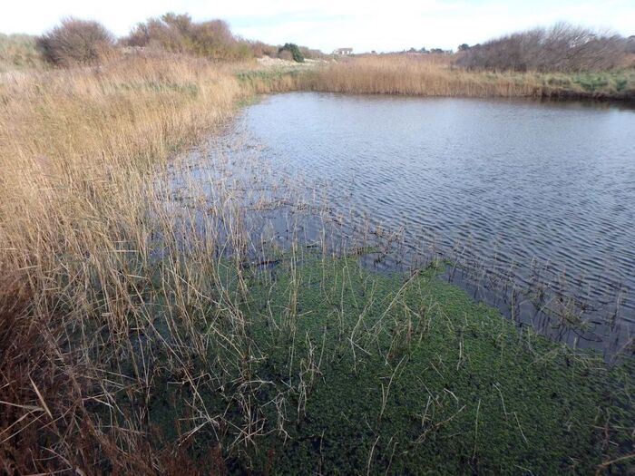 Contes des marais du Platon, Lieu de rdv donné à la réservation, Bernières-sur-Mer