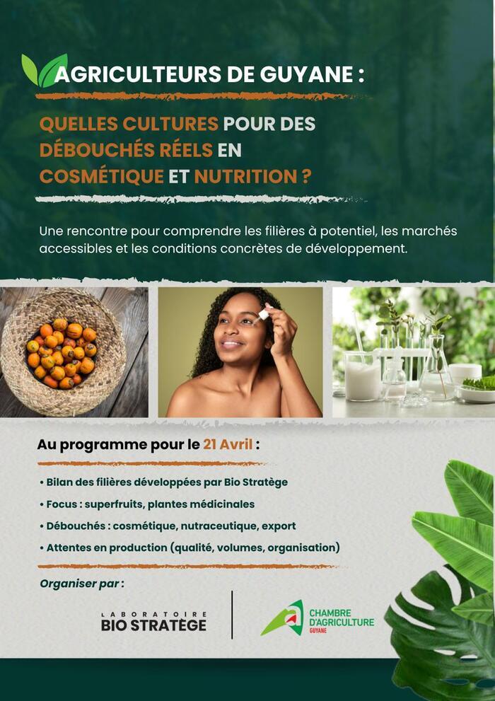 COSMETIQUE ET NUTRITION Chambre d'agriculture de la Guyane