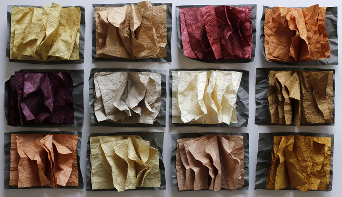 Couleurs sauvages, Musée Saint-Remi, Reims