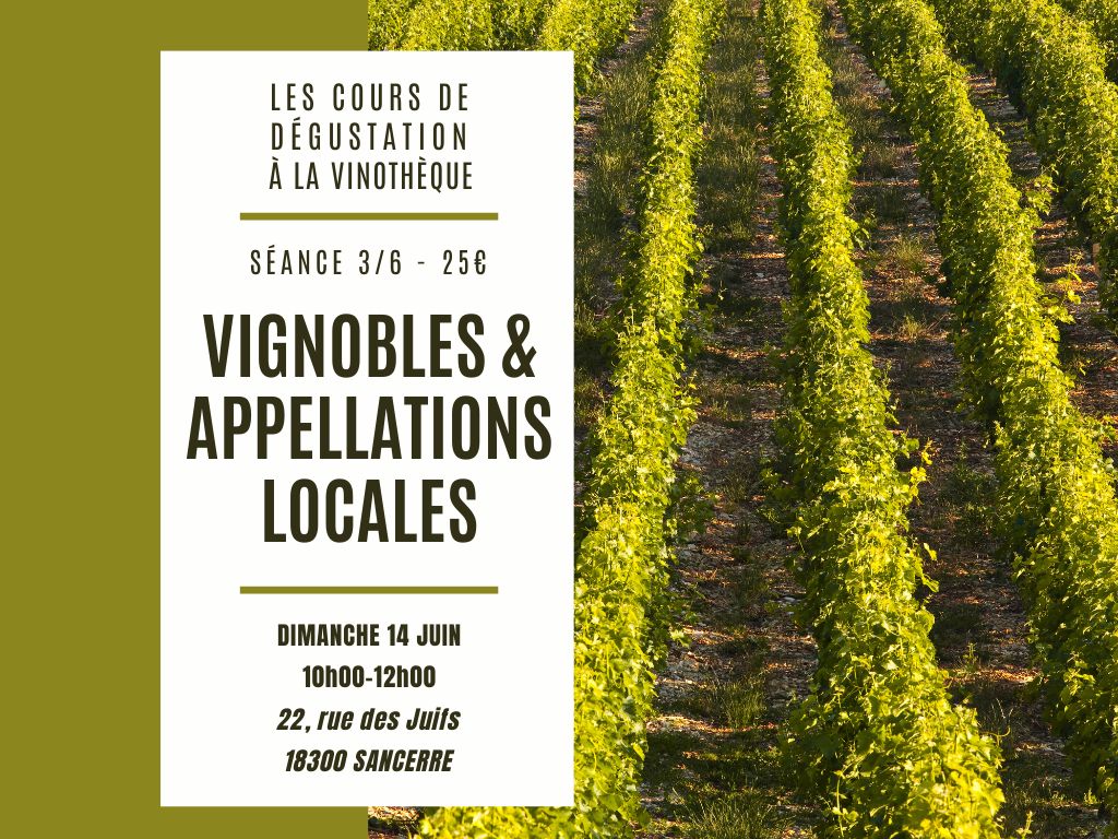Cours de dégustation vignobles et appellations locales  Sancerre